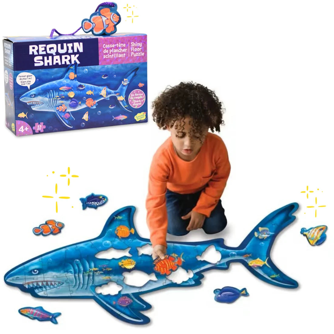 CASSE-TÊTE REQUIN