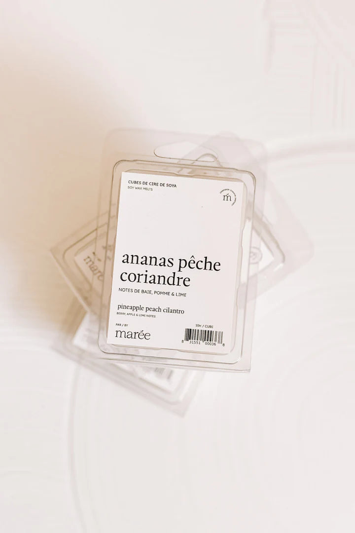 CUBES DE CIRE DE SOYA POUR DIFFUSEUR - Ananas, pêche et coriandre