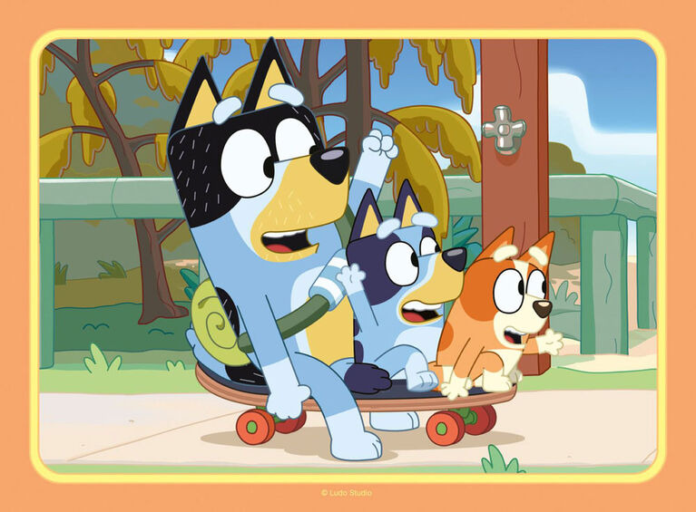 Bluey 4-en-1 (12, 16, 20, 24 mcx)