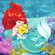 Aventure de princesses 3x49 mcx