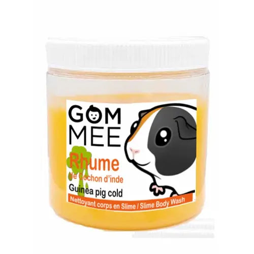 Slime moussante rhume