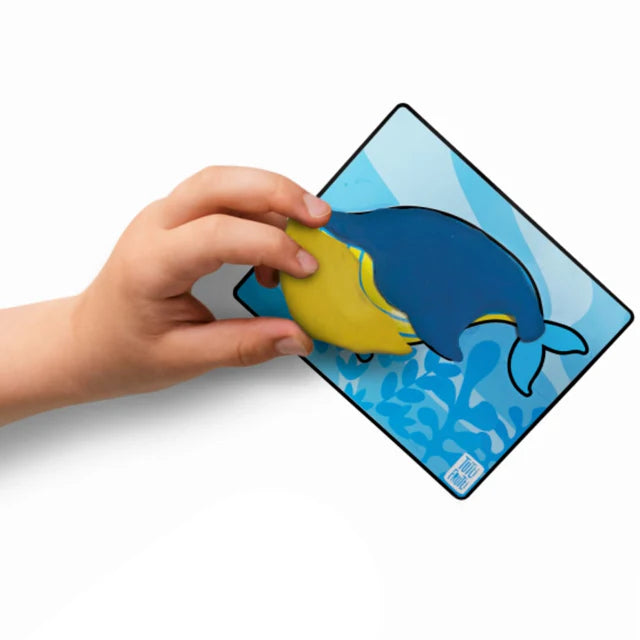 Trio Pâtes à Modeler - Amis dans L'Océan