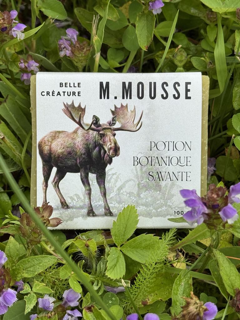 Savon M. Mousse - menthe poivrée et romarin