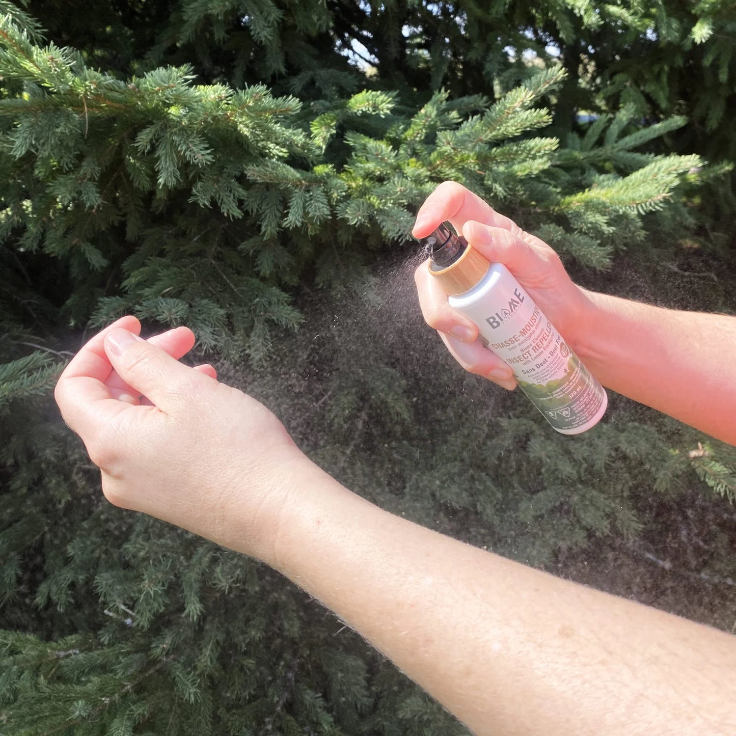 Chasse-moustique avec eucalyptus citronné