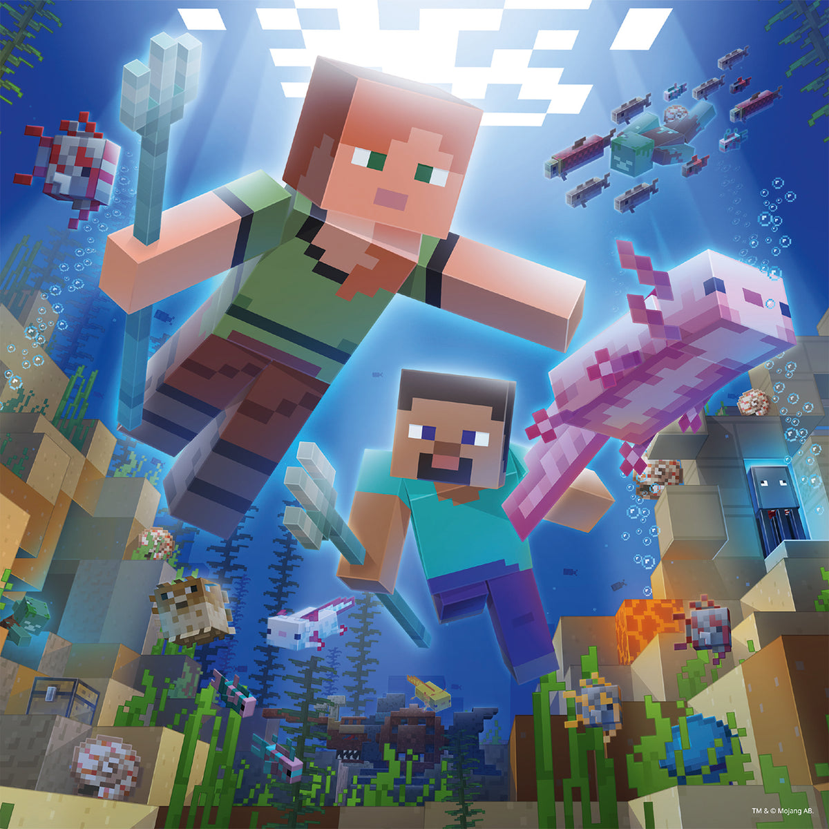 Minecraft Biomes 3 x 49 mcx