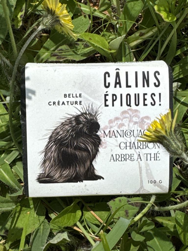 Savon Câlin Épique - argile de manicouagan, charbon, cumin noir et théier