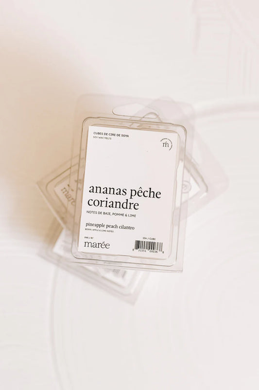 CUBES DE CIRE DE SOYA POUR DIFFUSEUR - Ananas, pêche et coriandre