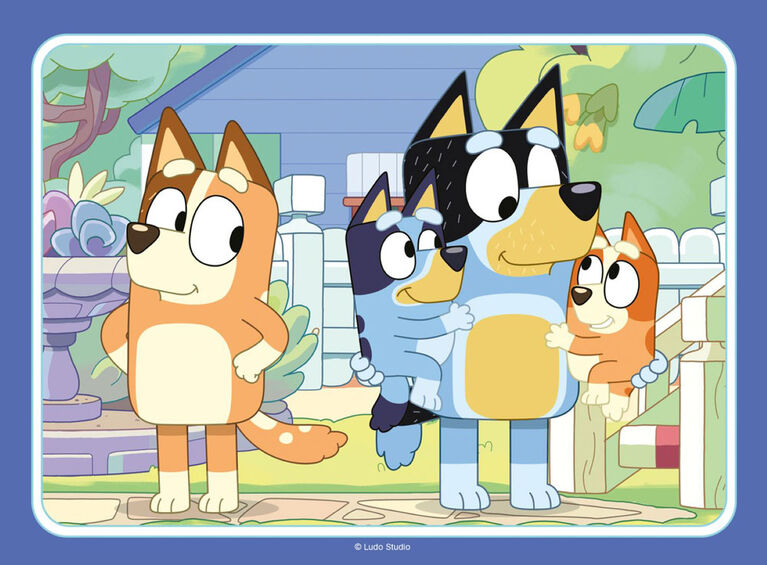 Bluey 4-en-1  (12, 16, 20, 24 mcx)