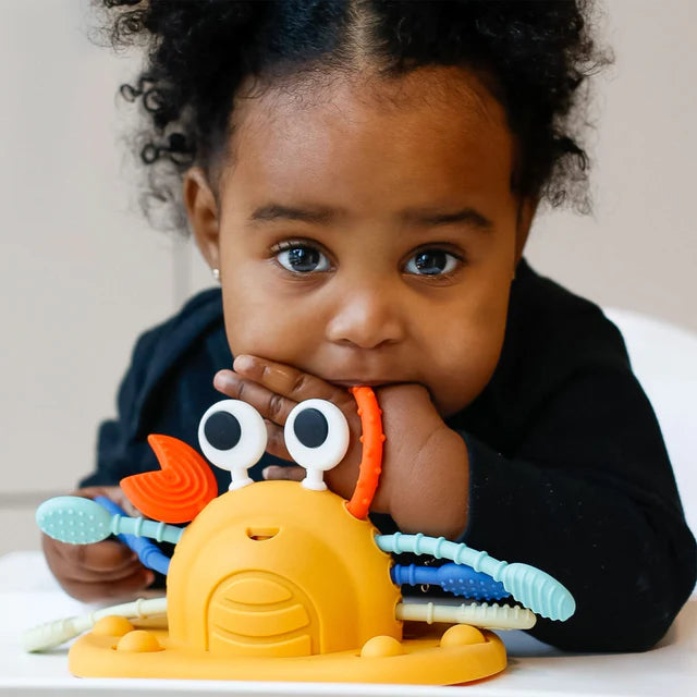 Jouet à ventouse multisensoriel en silicone – Crabe