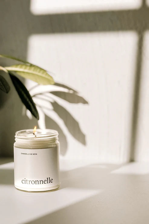 CHANDELLE DE SOYA - Intérieur & extérieur - Huile essentielle - Citronnelle