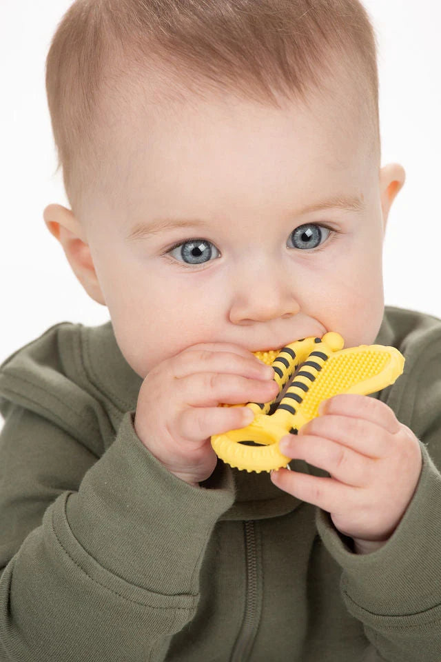 Jouets de dentition