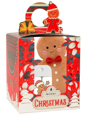 Boite CADEAU P'TI BISCUIT
