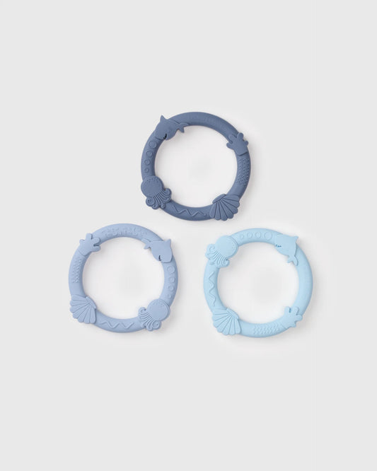 Ensemble d'anneaux de dentition
