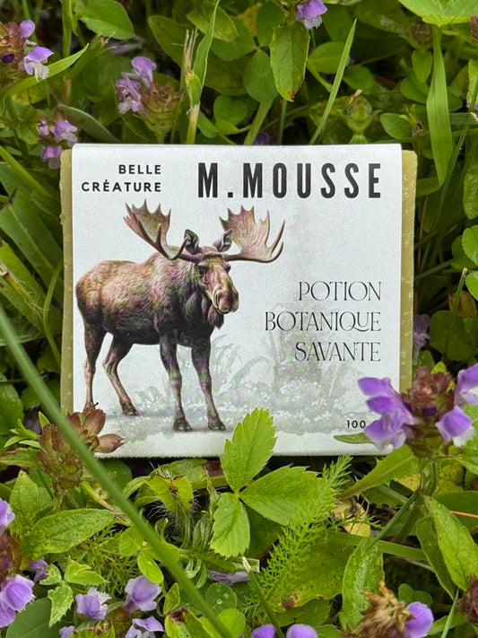 Savon M. Mousse - menthe poivrée et romarin