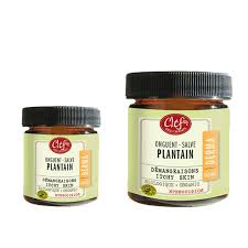 Onguent plantain bio