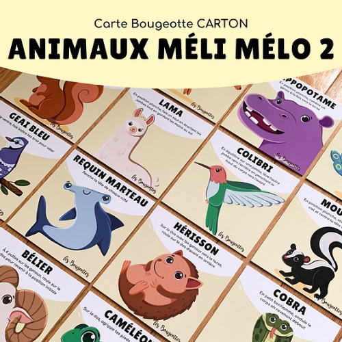 Les Bougeottes - Cartes animaux méli mélo 2